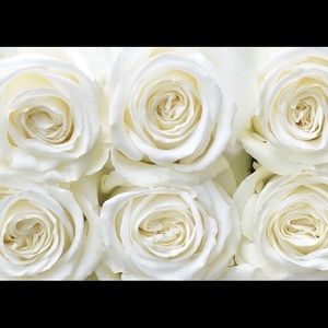 ✅Make an Offer or Bundle to Save!!